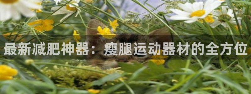 凯捷体育是干嘛的公司:最新减肥神器:瘦腿运动器材的全方位