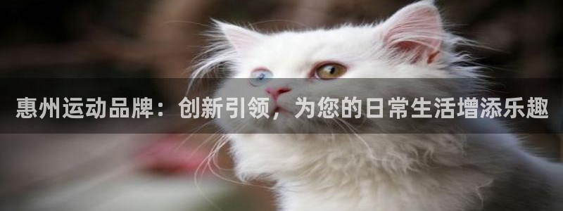 凯捷体育官方客服电话:惠州运动品牌:创新引领,为您的日常生活