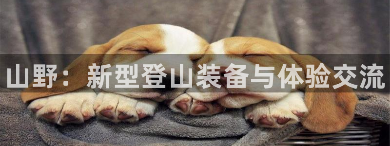 凯捷体育娱乐40996:山野:新型登山装备与体验交流