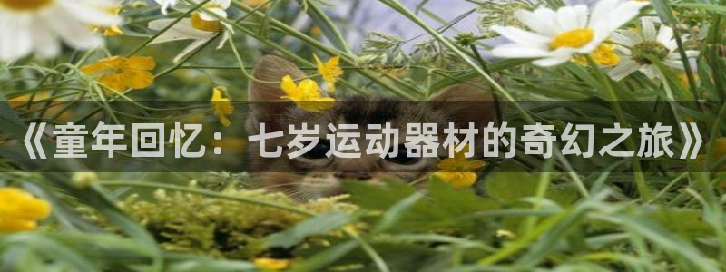 凯捷体育娱乐代理怎么样:《童年回忆:七岁运动器材的奇幻之旅》