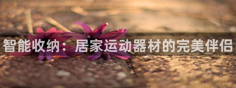 凯捷体育娱乐代理怎么样:智能收纳:居家运动器材的完美伴侣