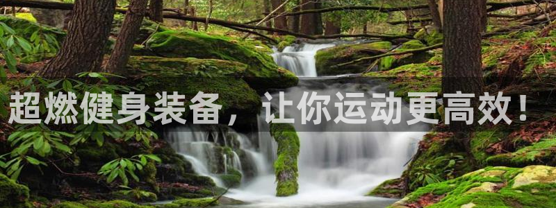 凯捷体育集团:超燃健身装备,让你运动更高效!