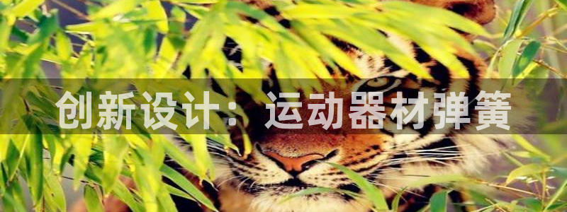 凯捷体育集团logo:创新设计:运动器材弹簧