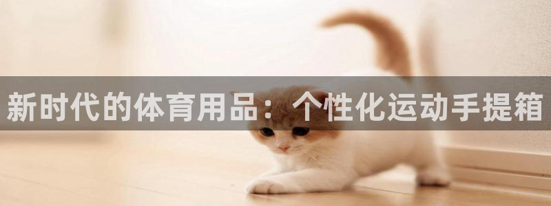 凯捷体育娱乐40996:新时代的体育用品:个性化运动手提箱