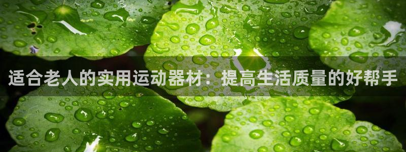 凯捷体育招商电话地址查询:适合老人的实用运动器材:提高生活质